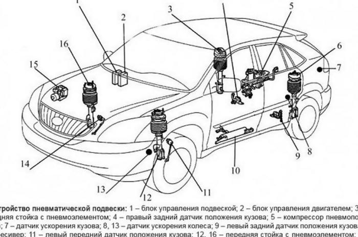 Виды систем