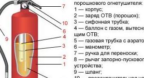 Основа выбора